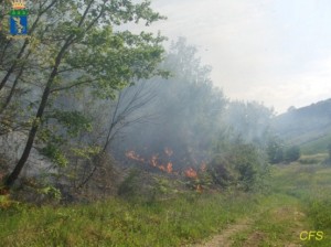 Castelsilano incendio boschivo