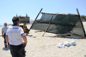 abbattute 20 freschiere sulla spiaggia di Strongoli (1)