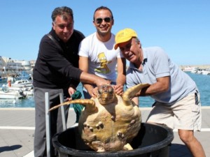Ottavio Caniglia, Peppino Formaro e Francesco Urso con la tartaruga salvata