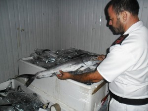 Sequestro pesce a Rossano (2)