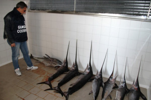 sequestrati pesce spada e tonni rossi a Crotone