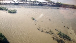 Esondazione fiume Neto (2)