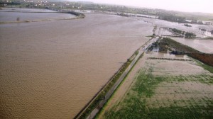 Esondazione fiume Neto (3)