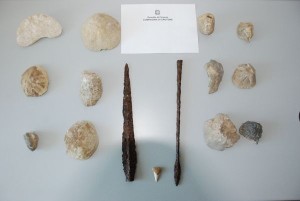 Reperti archeologici trovati a Belvedere Spinello