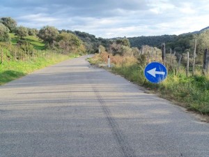 Strada provinciale in zona  cappelliere