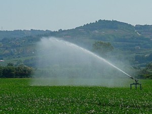 irrigazione