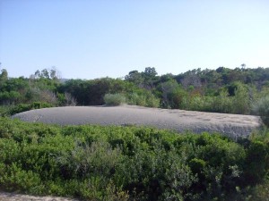 Duna dell'Elefante in zona Marinella