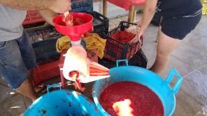 Salsa di pomodoro fatta in casa (18)