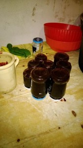 Mostarda d'uva calabrese (30)
