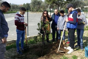 Piantumazione alberi all'agrario di Cirò Marina (2)