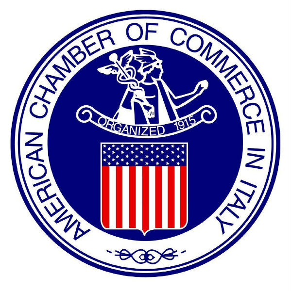american chamber of commerce перевод