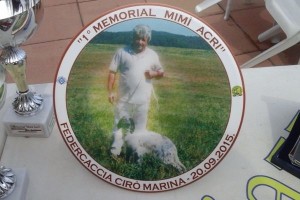 Icona Memorial Mimì Acri 2015