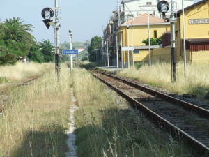 Erbacce ferrovia 2009 (1)