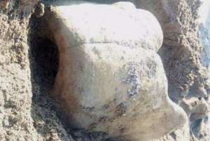 Reperti archeologici trovati sulla spiaggia di Isola Capo Rizzuto