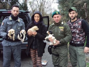 Le Guardie Zoofile Crotone salvano 4 cuccioli, trovati sul ciglio della strada2