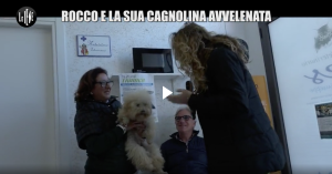 Le Iene a Cirò Marina Caterina Ferraro consegna il suo cagnolino Rocco
