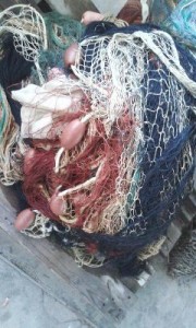 Sequestrata una tonnellata di Bianchetto, multato Pescatore per 4000 euro2