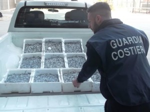 Sequestrati 60kg di Bianchetto dalla Capitaneria di Porto di Crotone