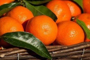 I ricercatori del CREAdi Acireale hanno ottenuto nuovi ibridi di mandarino simili e pompelmo