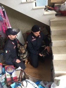 Mini arsenale rinvenuto a Scandale, un arresto dei Carabinieri1