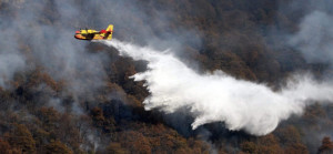 La Calabria brucia, la Regione prende tempo- allarme Vigili del Fuoco