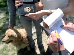 Crotone, Ordinanza del sindaco per l’obbligo di rimozione delle deiezioni canine