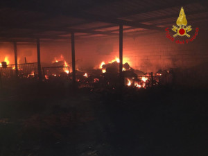 Incendio in una azienda agricola a Rocca di Neto, salvate 750 pecore dai Vigili del Fuoco2