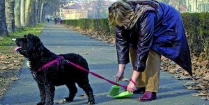Mai più deiezioni canine per le strade di Cariati- l’ordinanza del Comune rivolta ai proprietari