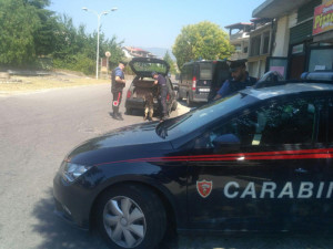 Numerosi controlli e 11 denunce dei Carabinieri della Compagnia di Petilia Policastro (2)