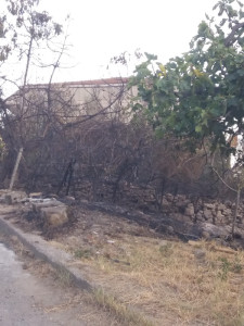 Incendio alle Campanise di Cirò, in pericolo alcune abitazioni1