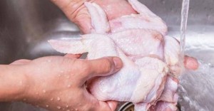 Lavare il pollo crudo, potrebbe causare rischi alla salute