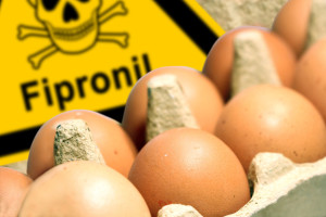 wb4 WarnBanner - Etikett mit Wirkstoff: Fipronil / Insektizid / Schdlingsvernichtungsmittel - Belastete Eier in einem Eierkarton - g5398