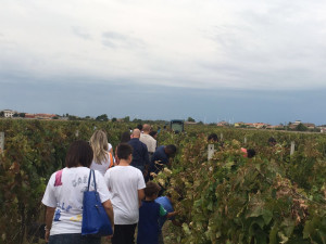 Marrelli Wines grande successo per la prima partecipazione a “Cantine Aperte in Vendemmia” (1)