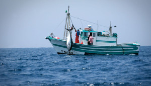 Pesca- Oliverio (PD), dopo 35 anni finalmente legge organica per settore