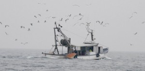 #FaiAscolto, La segreteria della FAI Cisl Calabria avvierà confronti sul territorio con i lavoratori del settore Pesca