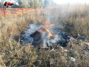 Distruggono con il fuoco rifiuti speciali a Rocca di Neto, denunciate tre persone (1)