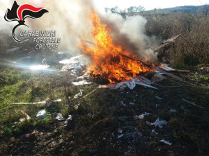 Distruggono con il fuoco rifiuti speciali a Rocca di Neto, denunciate tre persone (2)