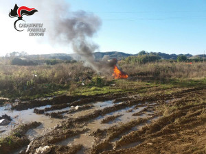 Distruggono con il fuoco rifiuti speciali a Rocca di Neto, denunciate tre persone (3)