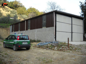 Scoperto capannone rurale abusivo a San Mauro Marchesato (1)