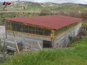 Sequestrato capannone rurale abusivo a Strongoli (1)