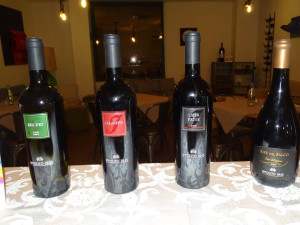 “Parliamo di Vino” con Paolo Ippolito e le sue Cantine al 5 Sensi Wine Gallery (5)