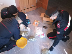 Blitz dei Carabinieri in zona Tufolo a Crotone, arrestato 29enne per possesso di 1,200 chili di droga (2)
