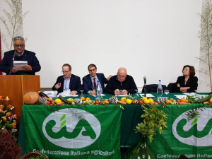 Nicodemo Podella confermato presidente Cia Agricoltori Italiani della Calabria (6)