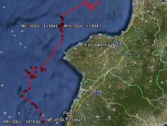 La tartaruga Melissa ‘arriva’ a Palmi