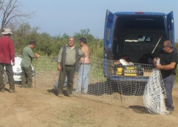 Ripopolamento lepri, recinti mobili a Cirò Marina e Cirò, a breve anche a Strongoli