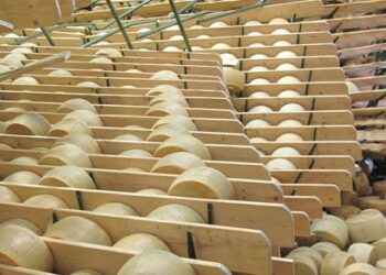 Arriva in Calabria il “Parmigiano o Grana della Solidarietà”