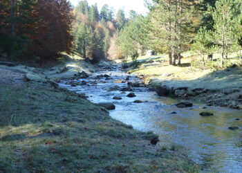 Oltre un milione di euro per i lavori sul fiume Tacina