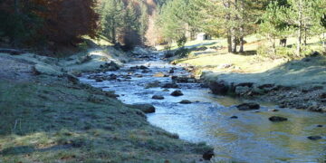 Oltre un milione di euro per i lavori sul fiume Tacina