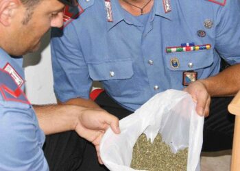Spaccio di marijuana, hashish ed eroina ad Isola e a Crotone