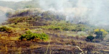 Brucia l’area Sic della Ginestra Bianca, unica oasi presente in Italia